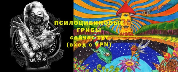 spice Алзамай