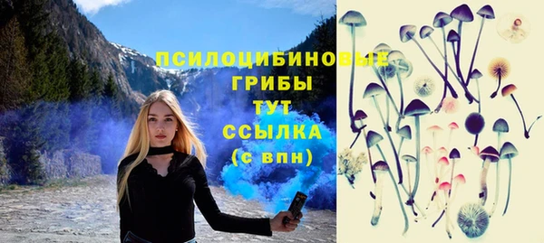 круглые Абаза