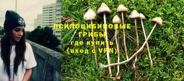 спиды Алексин