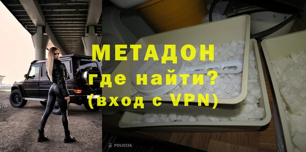 шишки Надым