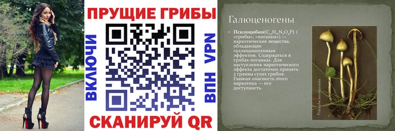 omg как войти Тамбов Галлюциногенные грибы GOLDEN TEACHER